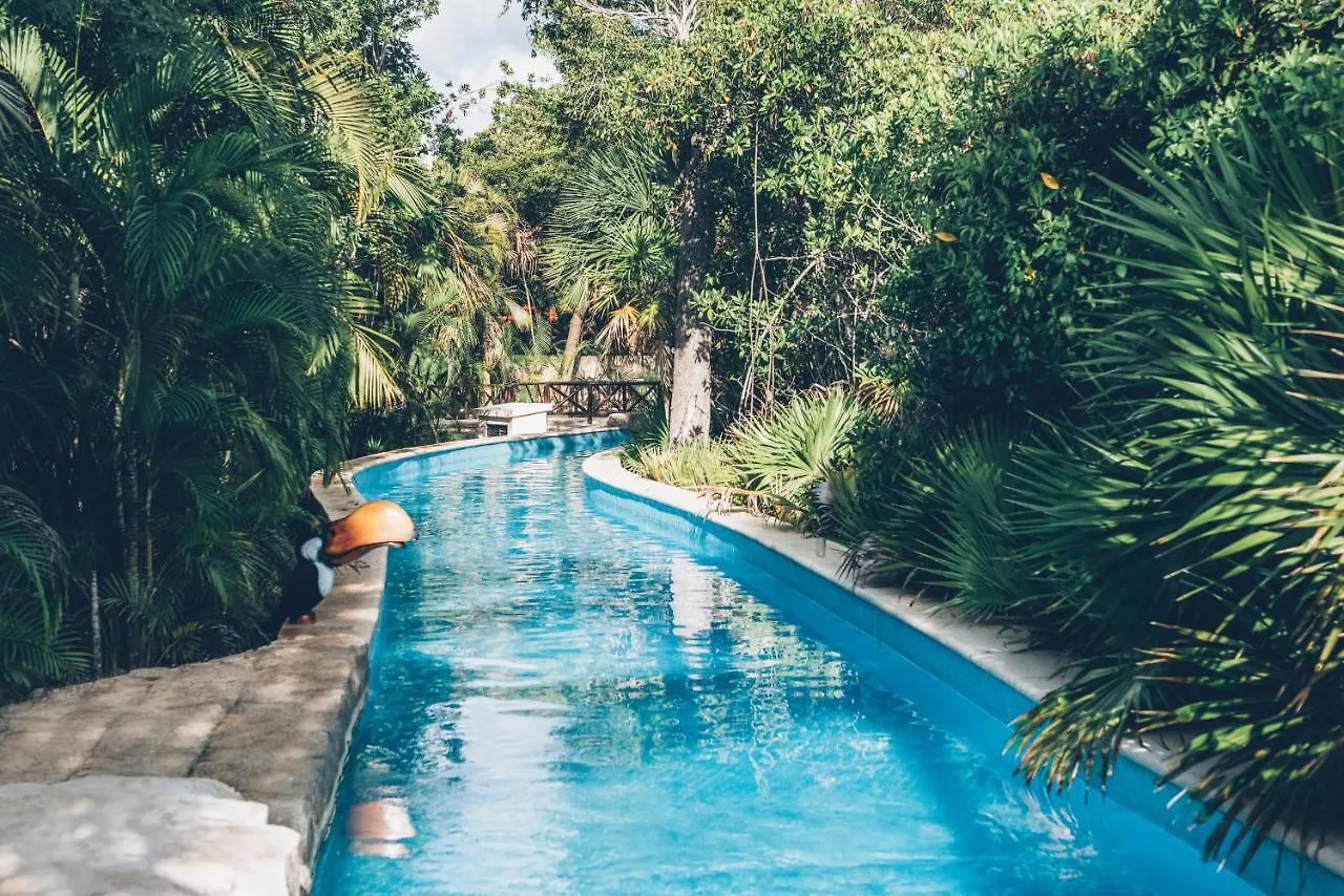 Iberostar Selection Paraiso Maya Suites Puerto Morelos